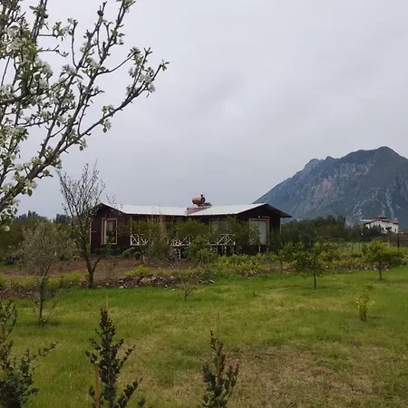 Villa Nar Cirali