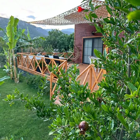 Villa Nar *